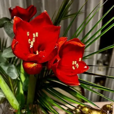 Nah Zur S-bahn Und Altstadt דירה Esslingen am Neckar